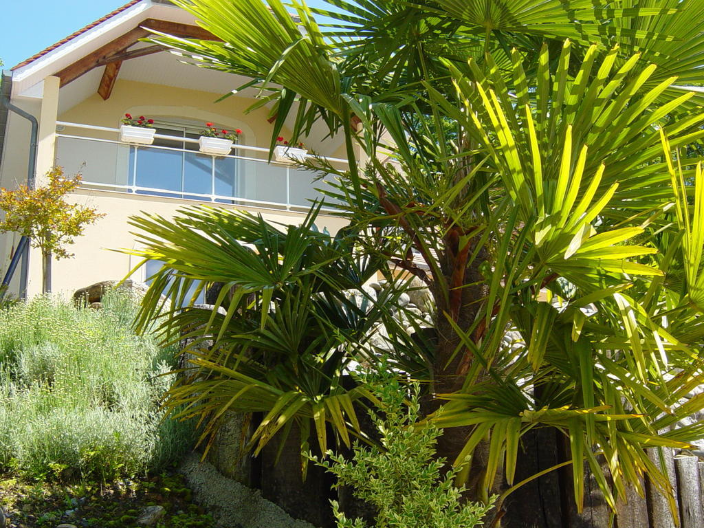 Chambres D'Hotes Coteaux Sud Jurancon Exterior photo